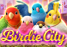 1-bindie city