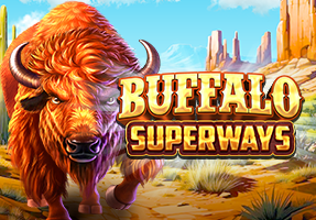 28-buffalo superways